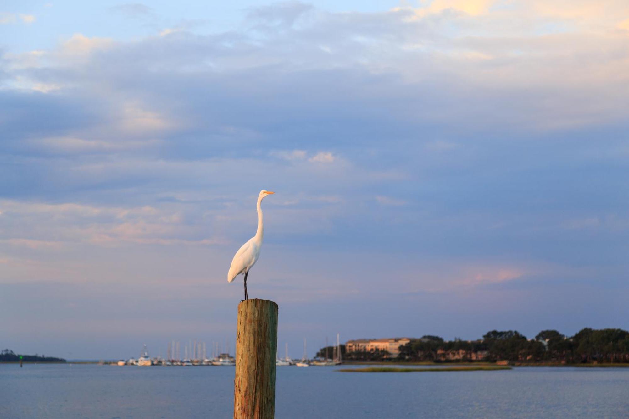 Stoney Creek Villa 299 Hilton Head Island Kültér fotó